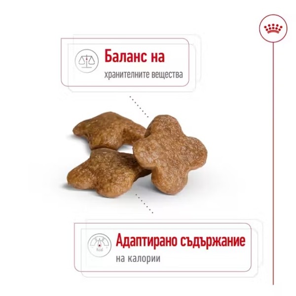 Royal Canin Adult Mini 8+ - Пълноценна суха храна за кучета от дребни породи от 8 до 12 години